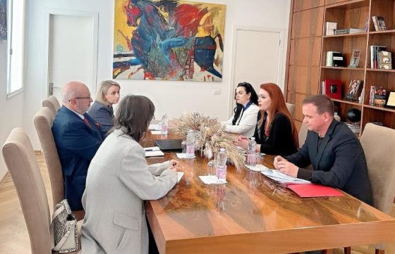 Kreu i misionit të vëzhguesve të OSBE/ODIHR në AMA, Krasniqi: Kemi marrë të gjitha masat që procesi i monitorimit të zgjedhjeve të shkojë siç duhet