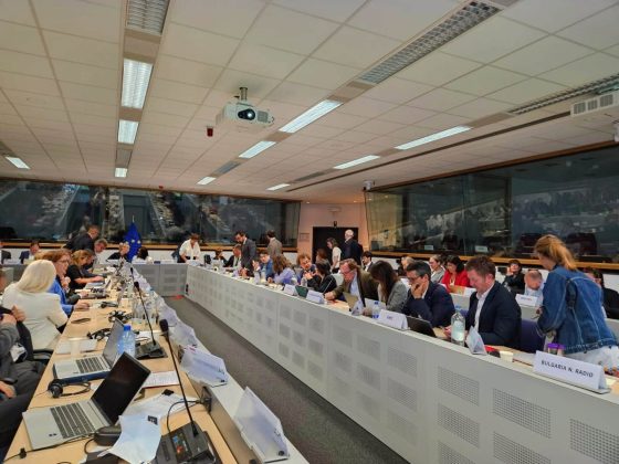 Krasniqi në forumin europian për pluralizmim dhe qëndrueshmërinë e medias, diskutohet transformimi dhe e ardhmja e tregut mediatik