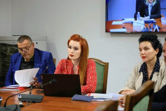 Kryetarja e AMA-s, Armela Krasniqi, në Kuvend: Mbrojtja e të drejtave të autorit kërkon kompetenca të qarta dhe siguri juridike