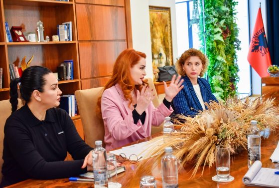 Krasniqi pret bashkë-raportuesit e Asamblesë Parlamentare të KiE: Në fokus reformat në median audiovizive