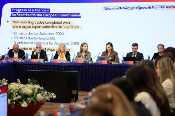 Kryetarja e AMA-s merr pjesë në mbledhjen e parë të Komitetit të Monitorimit të Instrumentit RGF