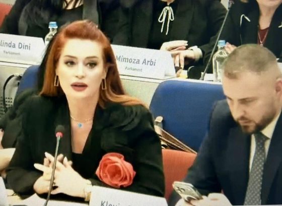 Krasniqi në takimin e 17-të të Nënkomitetit për Drejtësi, Liri dhe Siguri: Progresi i bërë në drejtim të Lirisë së Shprehjes është i matshëm